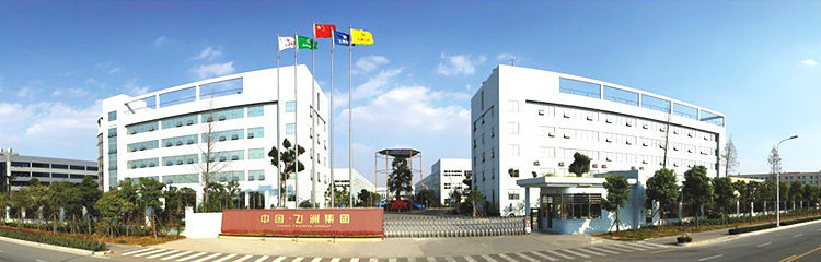 飞洲集团股份有限公司